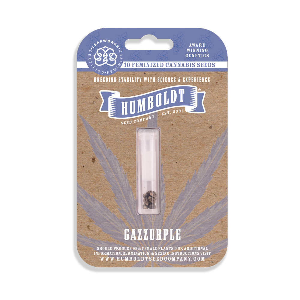 Photograph of product: HUMBOLDT SEED COMPANY - GAZZURPLE FEMINIZED SEEDS 10 PACK