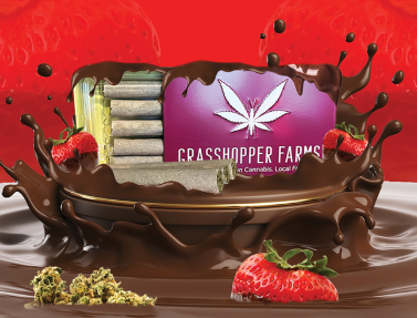 Photograph of product: Grasshopper   5 X Infused Pre Rolls   Chocolate Covered Strawberry