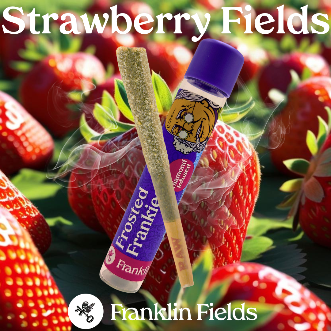 Photograph of product: FRANKLIN FIELDS | 1.25G INFUSED PRE ROLL | STRAWBERRY FIELDS