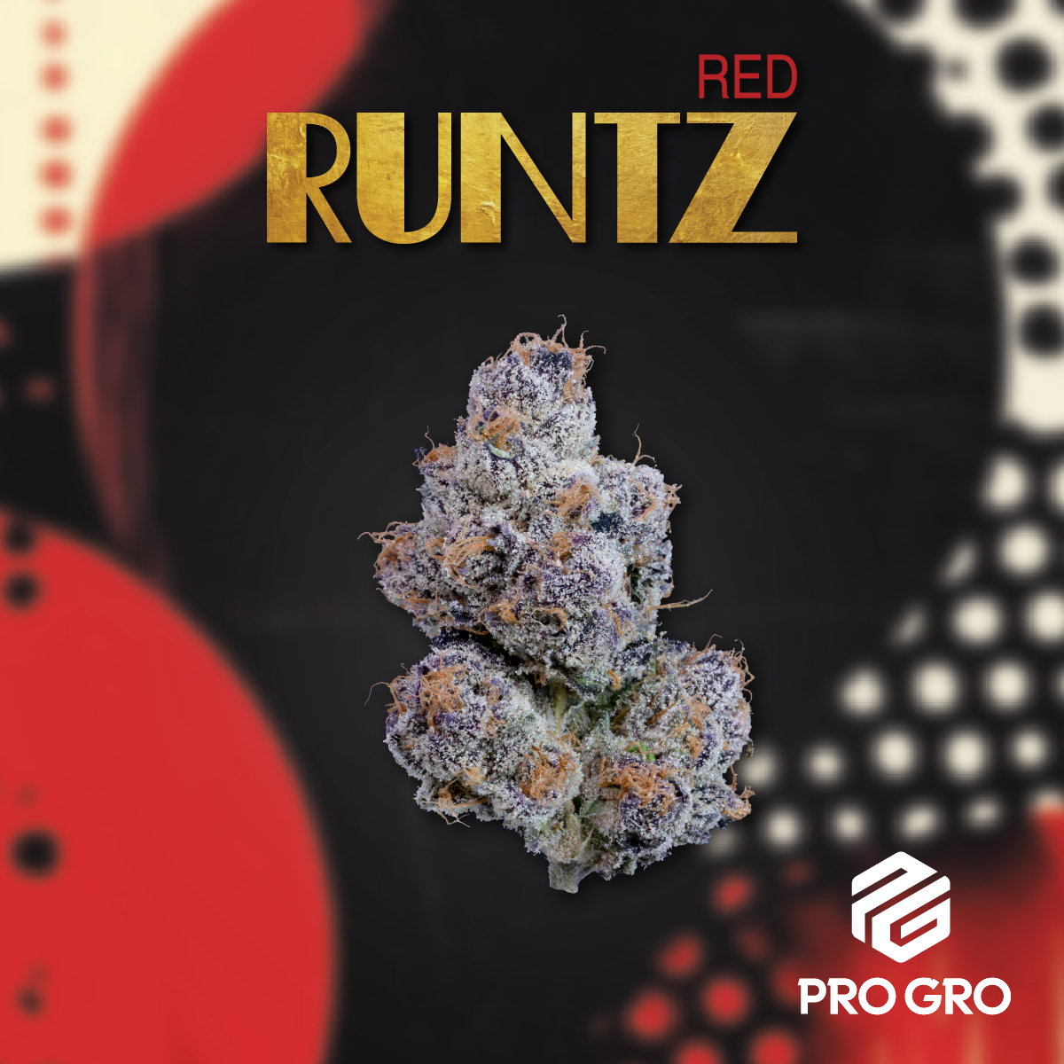 Photograph of product: PG - Pure Runtz - Diamond Tier - 70g