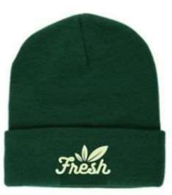 Photograph of product: Fresh | Beanie | Forest Green