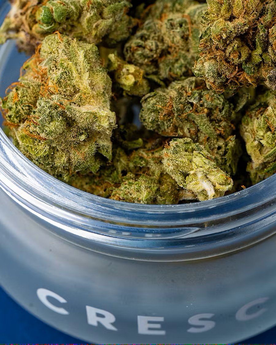Photograph of product: CRESCO | PURPLE CHURRO - PREPACK HYBRID - 28g