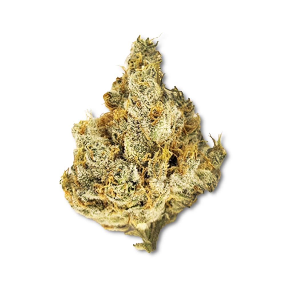 Photograph of product: Black Raspberry (Dec. '24 Harvest) - 28g