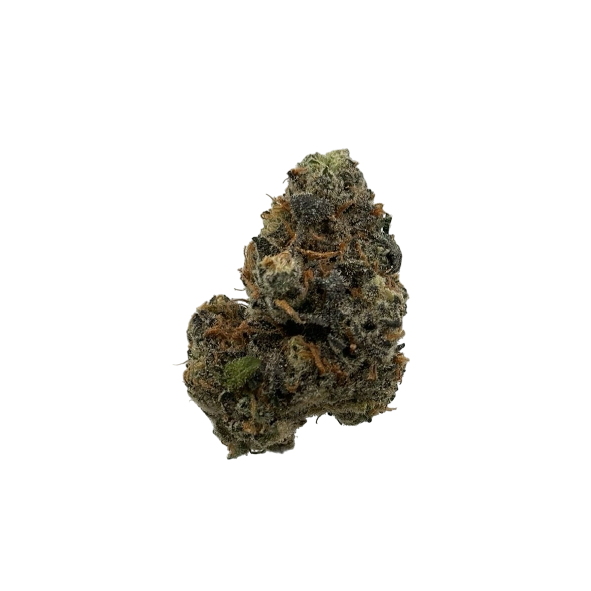 Photograph of product: Higher Love Gelato Runtz Buds - 28g