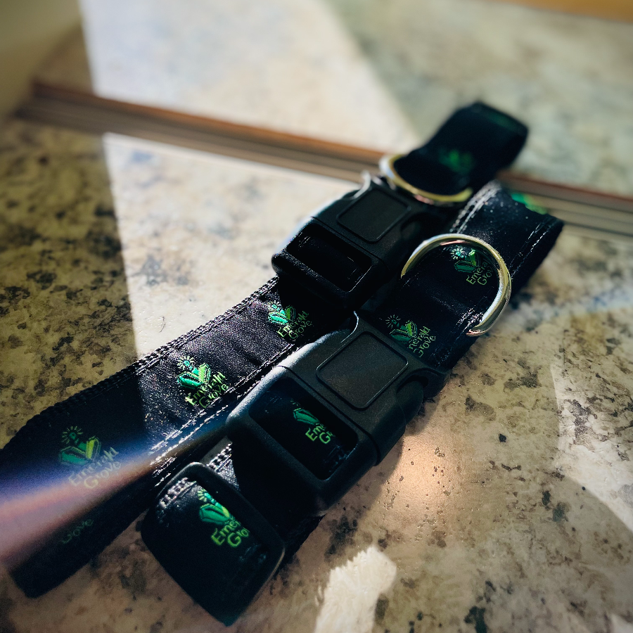 Photograph of product: Dog Collar | Large