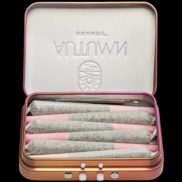 Photograph of product: Mule Fuel 10pk Infused Prerolls - 