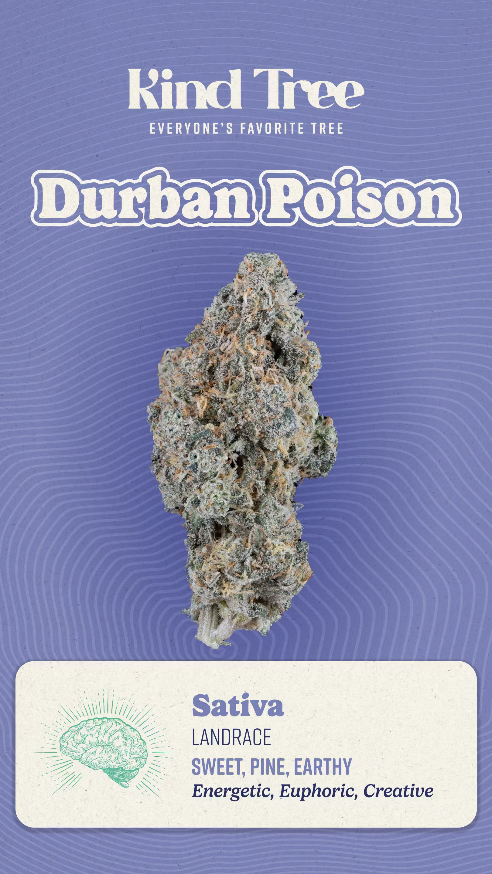 Photograph of product: Kind Tree - Durban Poison 3.5g