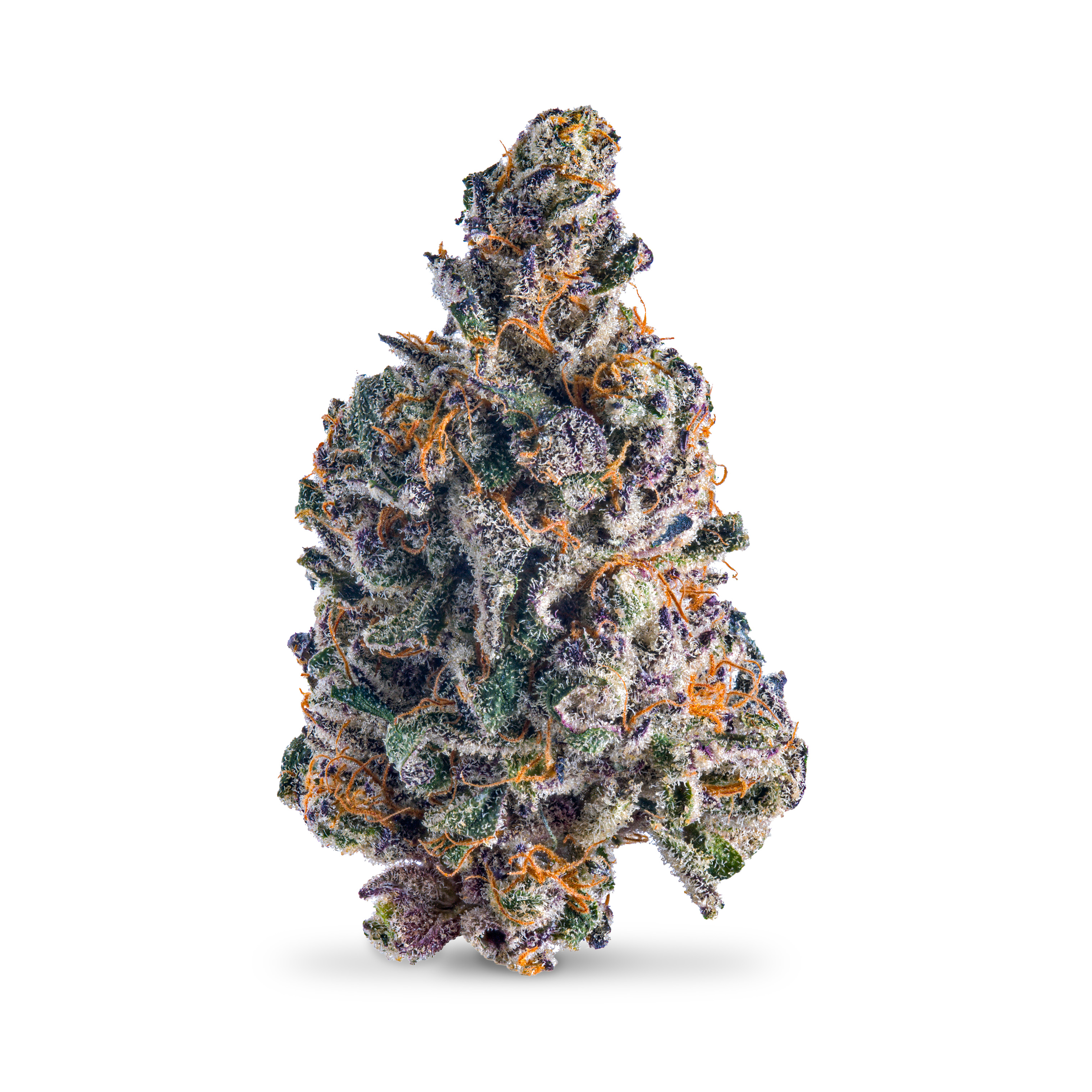 Photograph of product: Biscotti x Georgia Pie - 3.5g