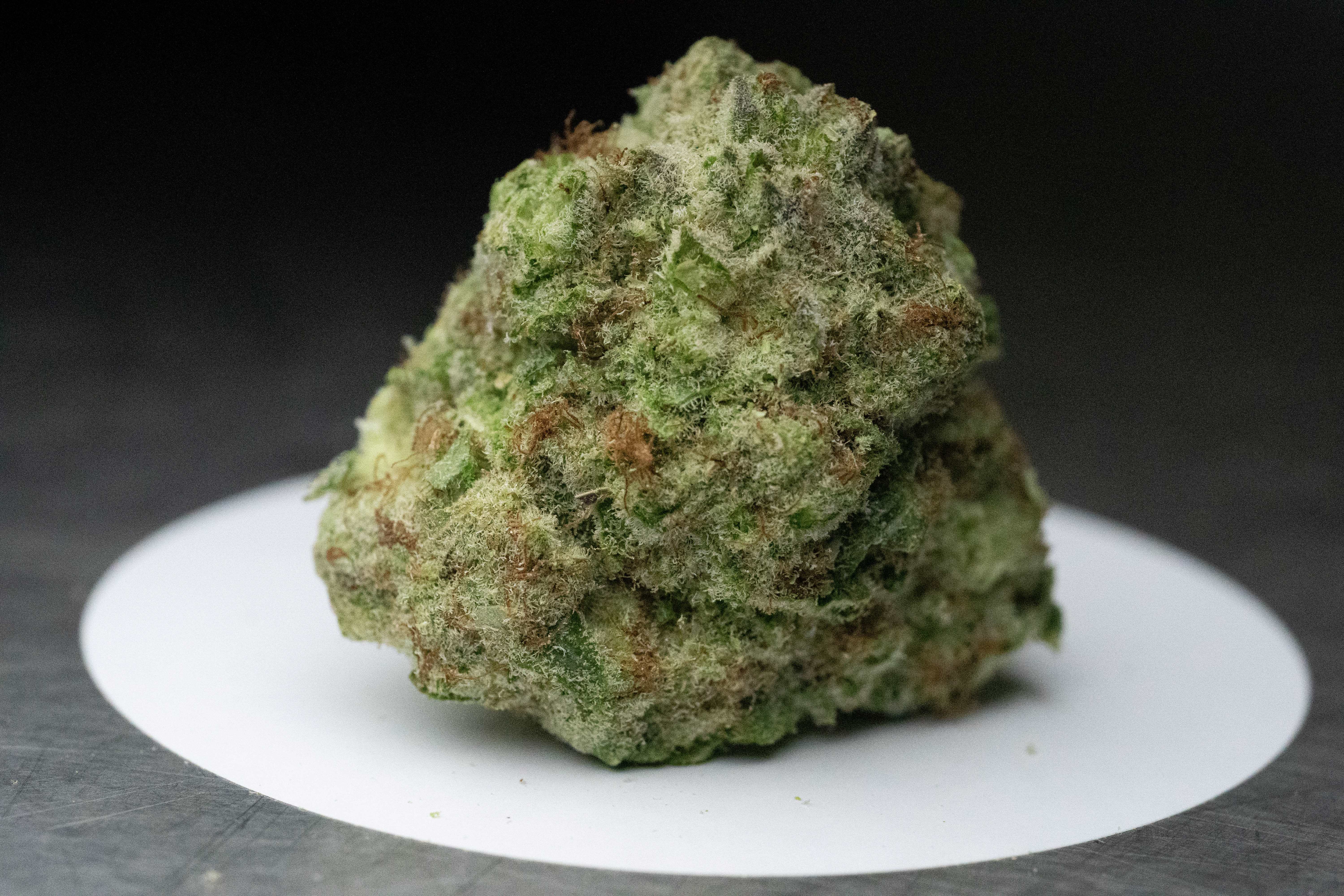 Photograph of product: Grease Monkey | Popcorn - 3.5g