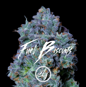 Photograph of product: (2) DC's Finest: Fuel Biscuit (H) - 28g