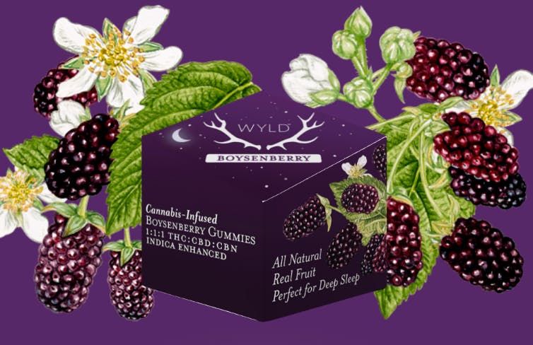 Photograph of product: Wyld | Boysenberry 1:1:1 TH-oui:CBN:CBD Gummies 100mg