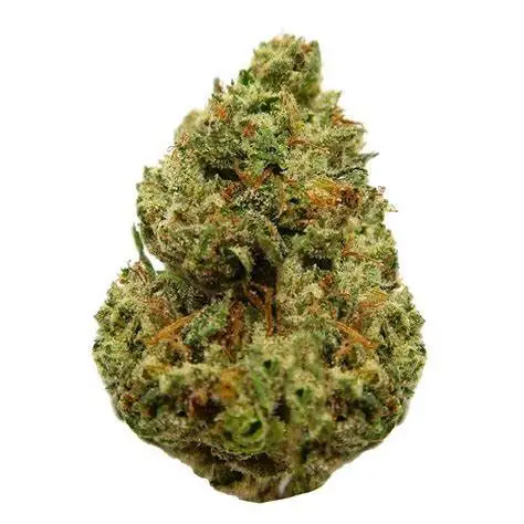 Photograph of product: Cherry Pie Runtz - 28g