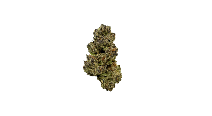 Photograph of product: Candied Gelato - 28g