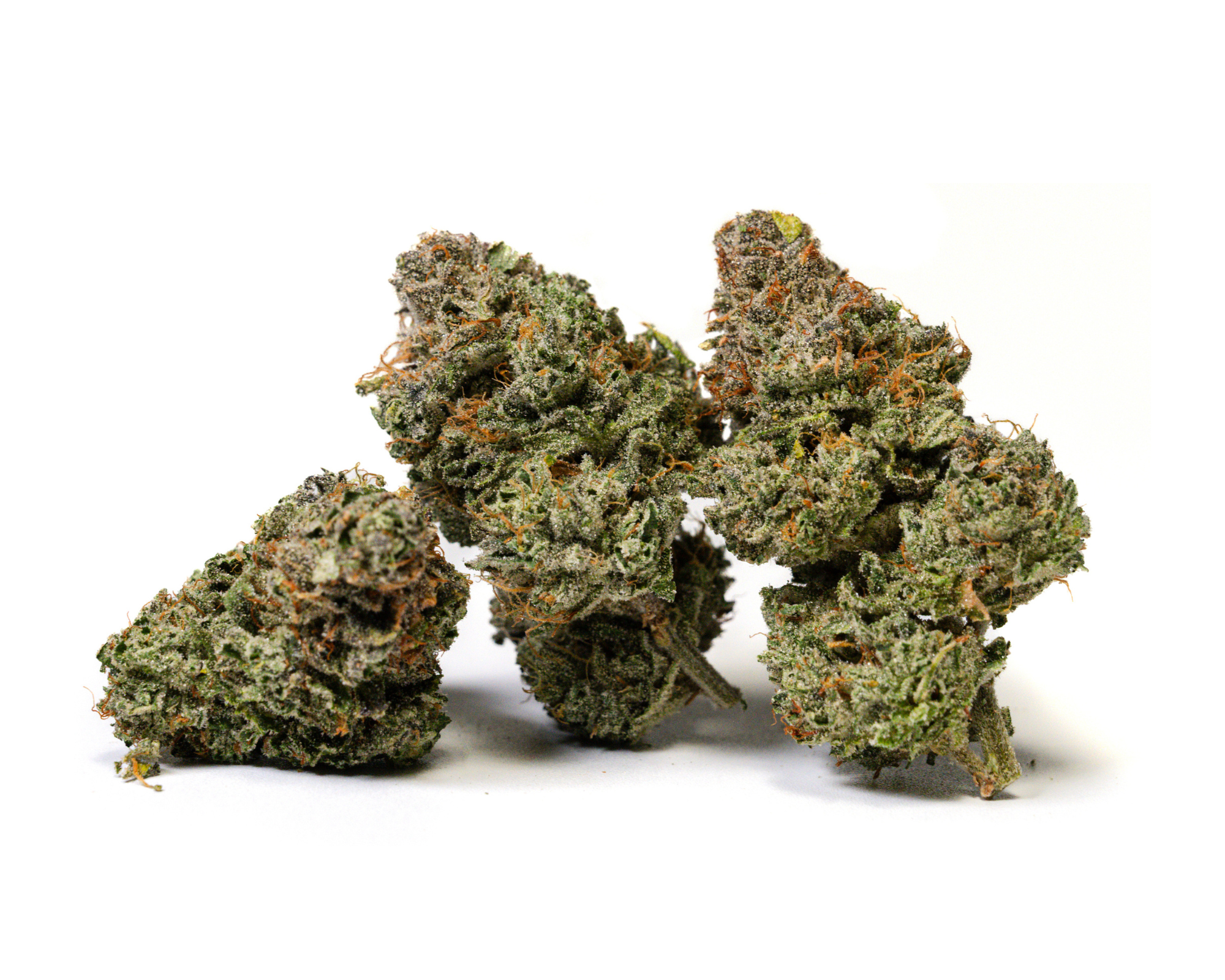 Photograph of product: Sour Lemons - Craft Indoor - 7g