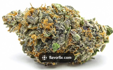 Photograph of product: HL - Pure Mimosa - pre-packed - 1g