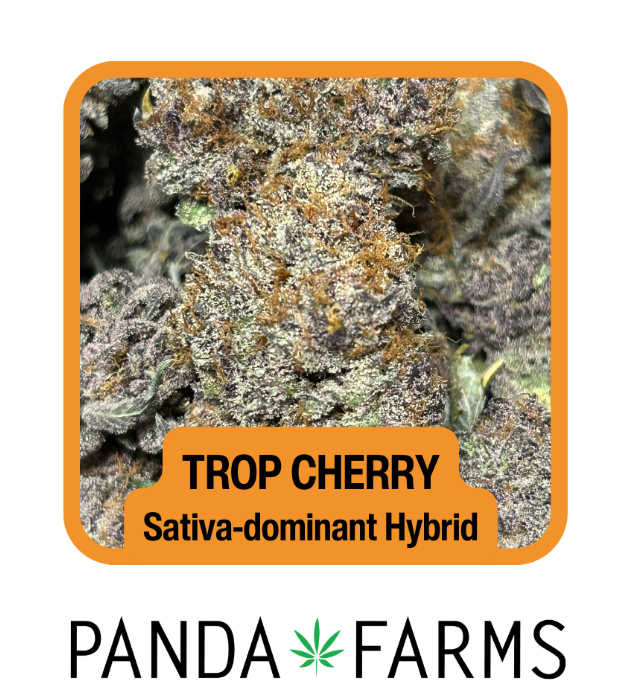 Photograph of product: Flower - Trop Cherry - Panda Farms - REC - 3.5g