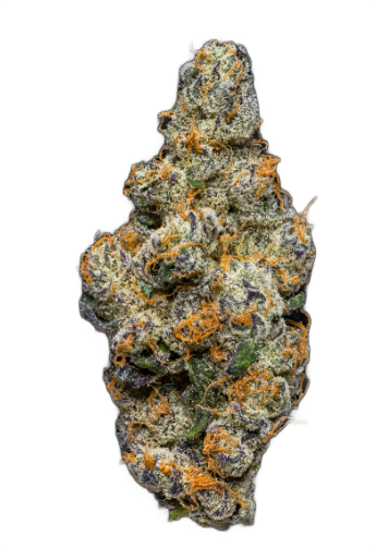Photograph of product: Hypno Stank | HOG Oui'd Co. - 1g