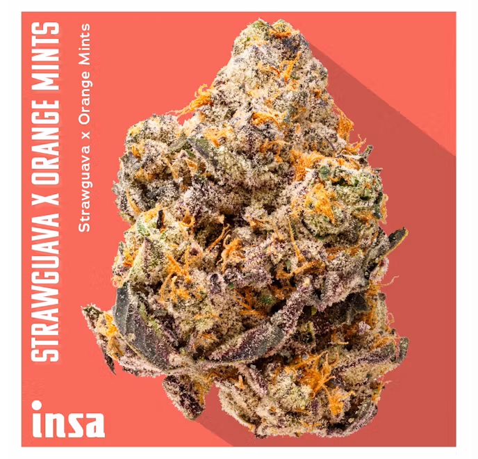 Photograph of product: StrawGuava x Orange Mints | Flower | 3.5g