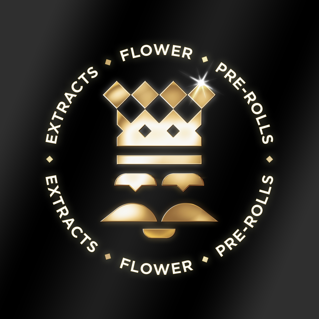 Photograph of product: OREO BLIZZARD 14G