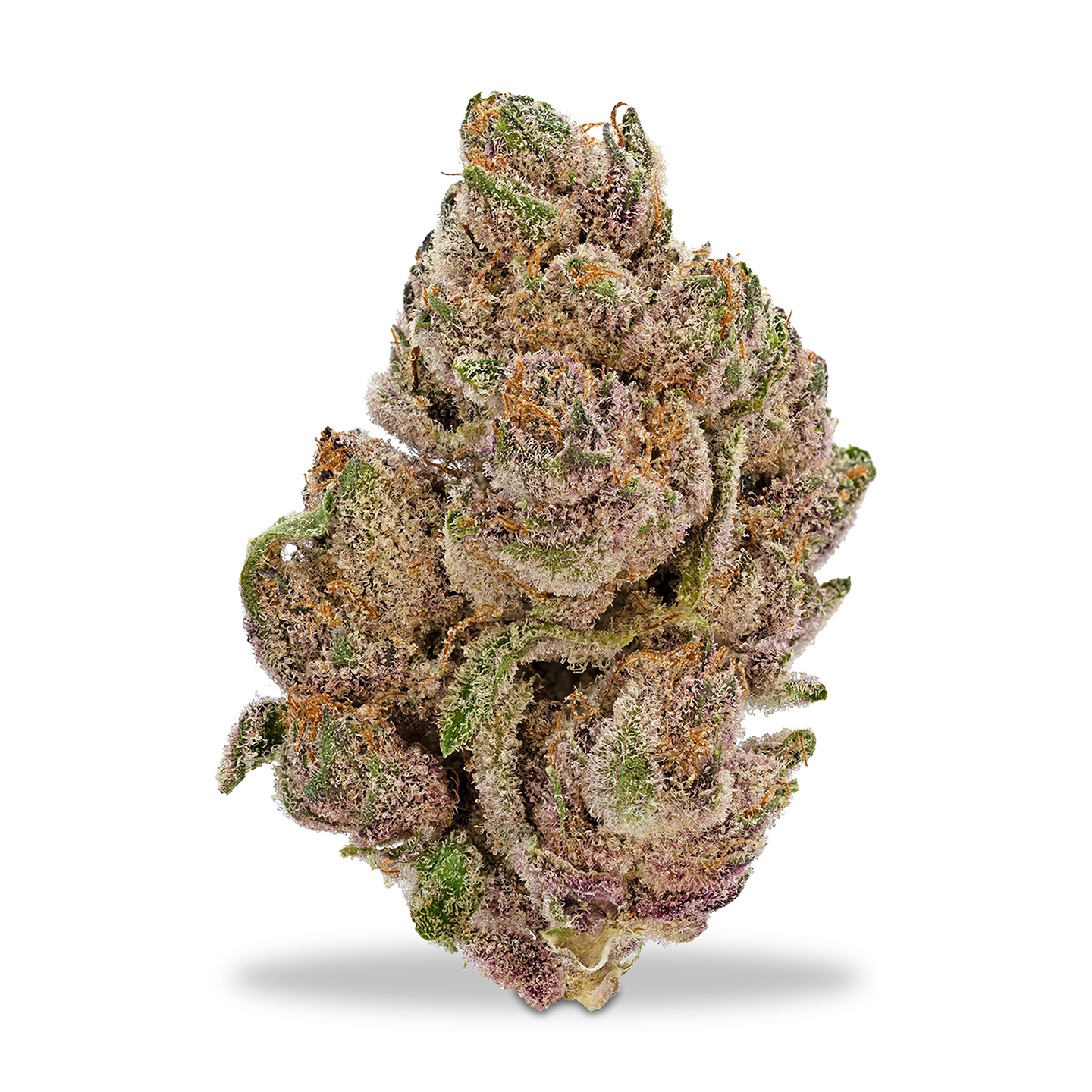 Photograph of product: Kaprikorn - Dark Queen #8 - 1g