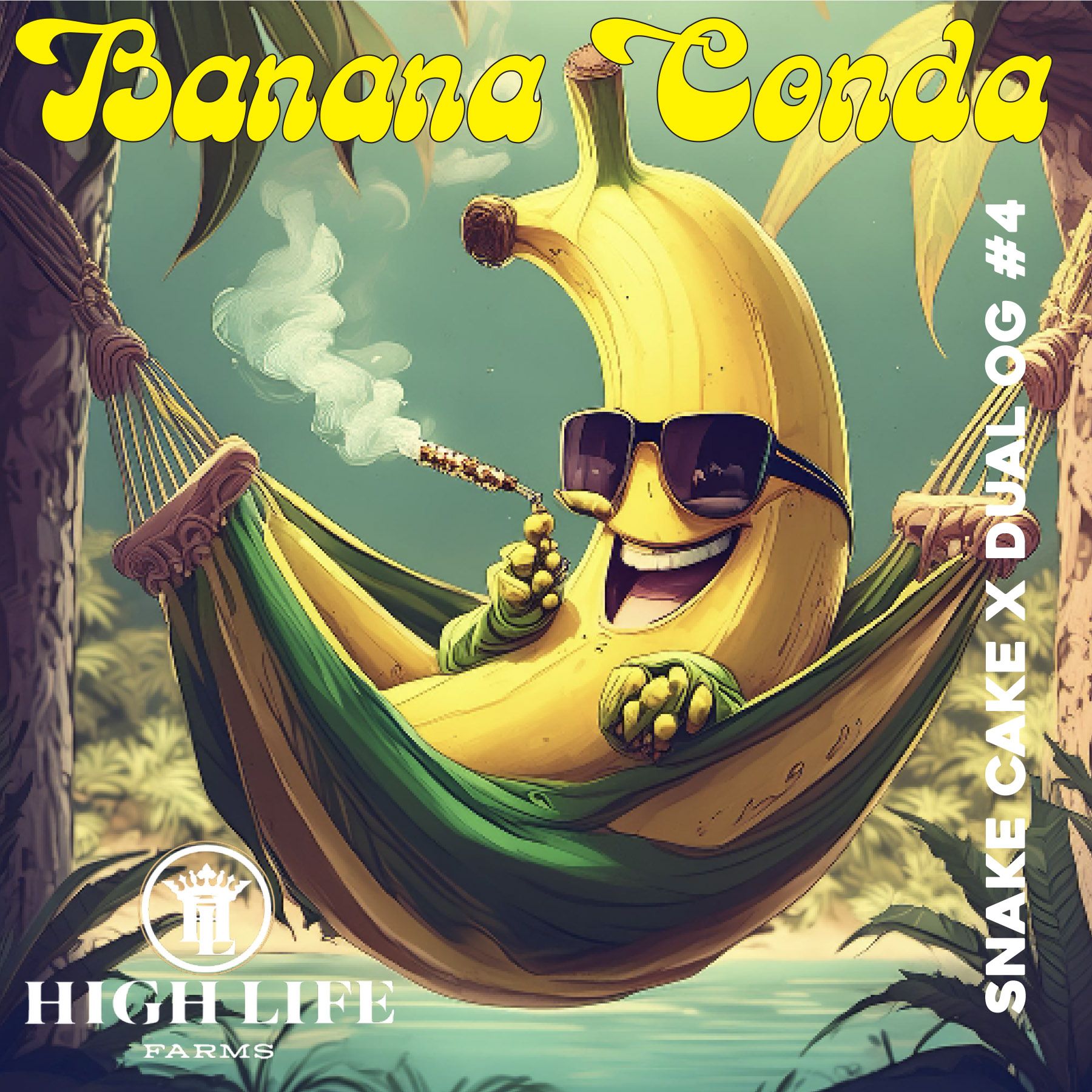 Photograph of product: HIGH LIFE FARMS BANANA CONDA BULK - 28g