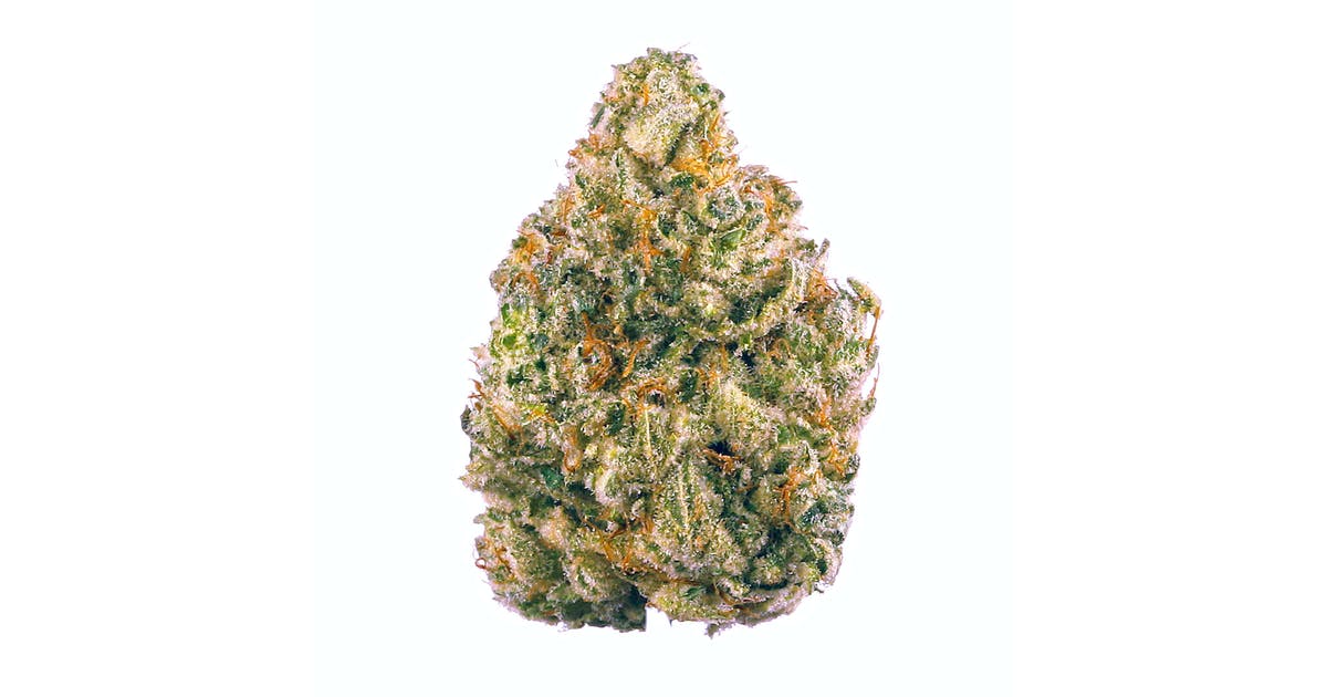 Photograph of product: NF1 - 3.5g