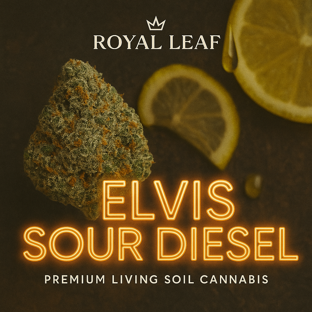 Photograph of product: Elvis Sour Diesel | Flower | 3.5G