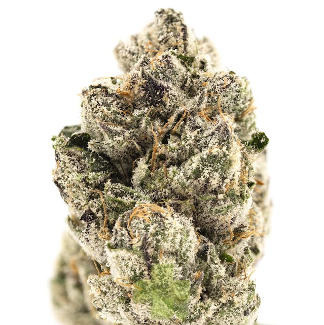 Photograph of product: Fizzy Grape - Eighth