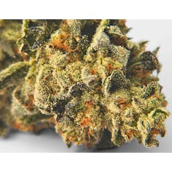 Photograph of product: Sacci: Biohazard Dime Bag (H) - .7g