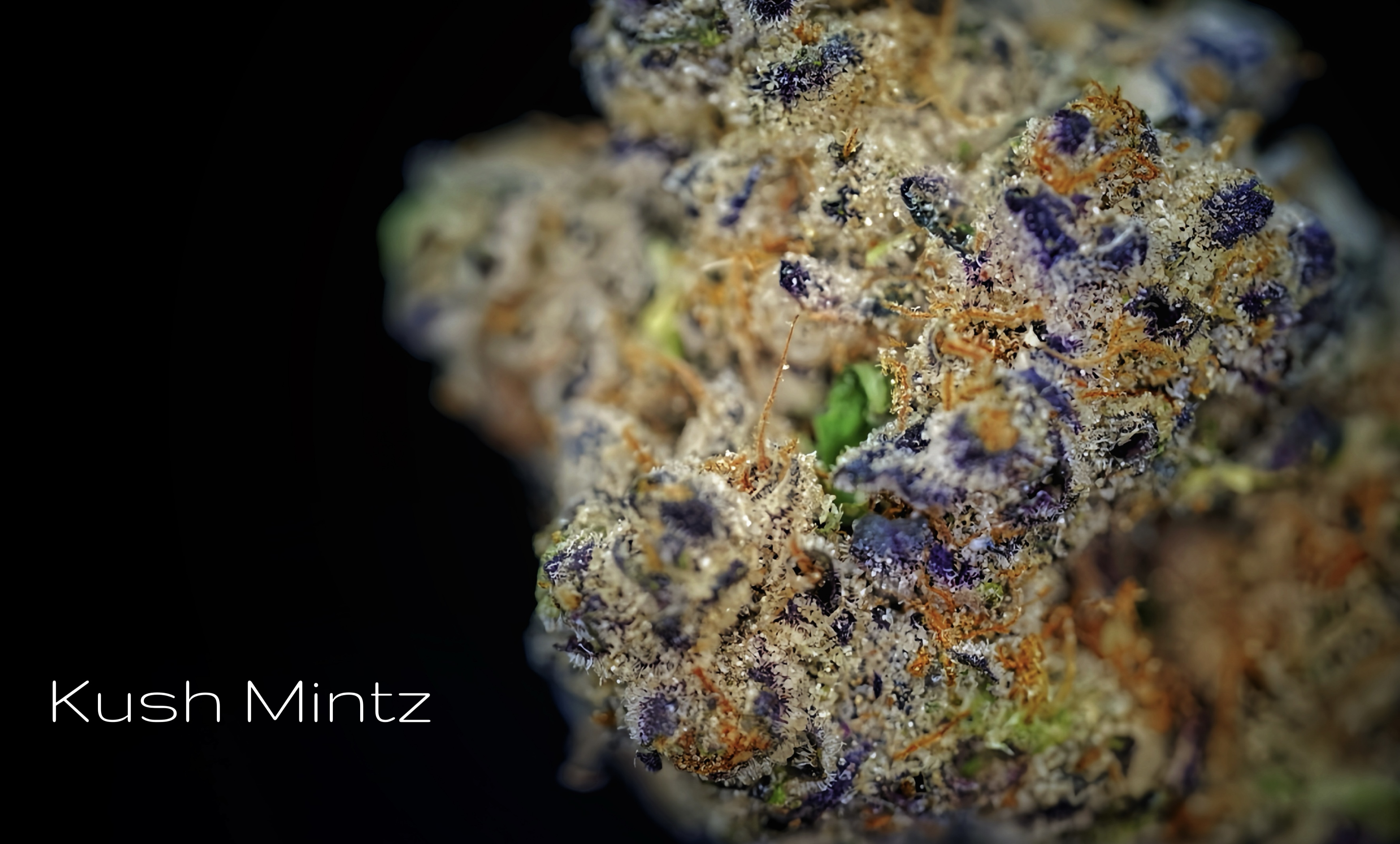 Photograph of product: Kush Mints | Prepack Oz | Outdoor - 28g