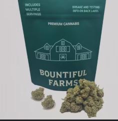 Photograph of product: 14g Quattro Kush F3 x Zweet Inzanity Small Buds