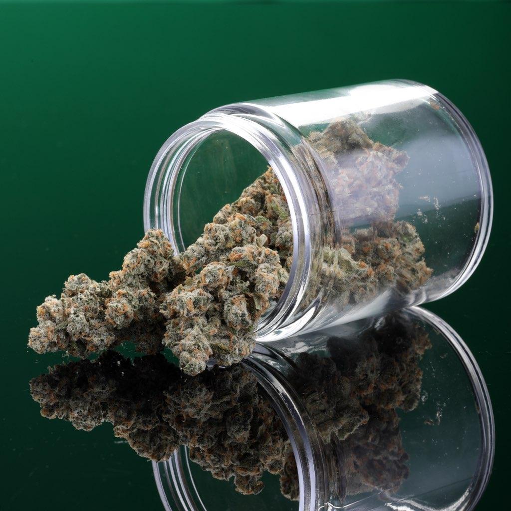 Photograph of product: Jack Herer | Flower | Midnight Fruit Co. - 3.5g