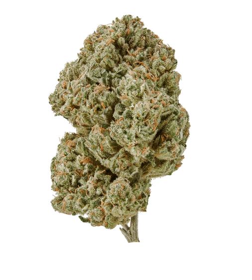 Photograph of product: CO Fresh - Lifter (H) - 1/4 Oz CBD Flower