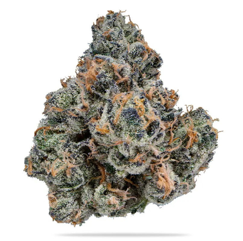 Photograph of product: ELYSIUM | GASTRO POP HYBRID - 3.5g