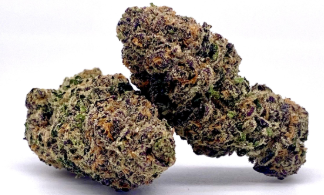 Photograph of product: Oregrown Greenhouse | Buckin Runtz - 28g
