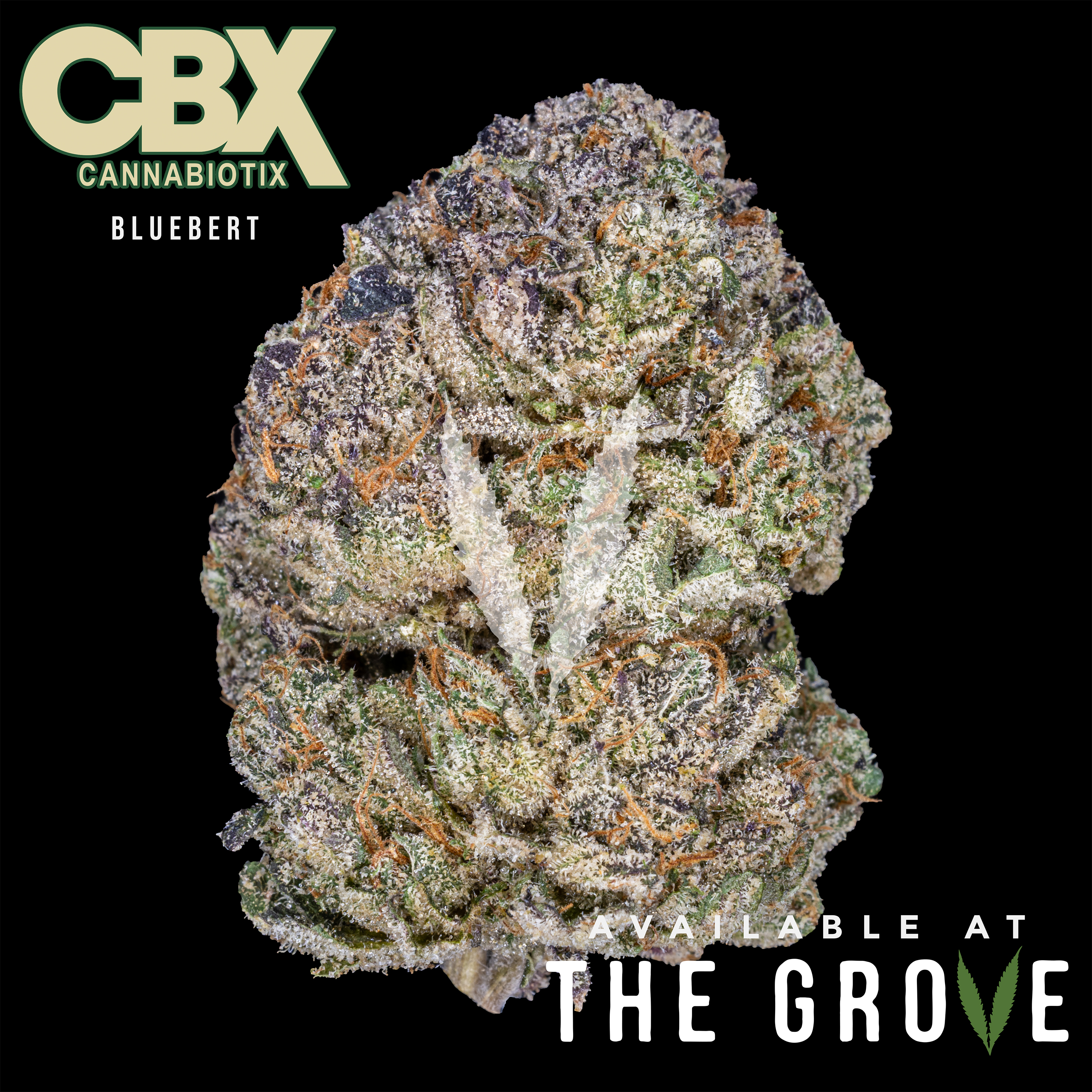 Photograph of product: CBX | Bluebert 1/8th - 3.5g