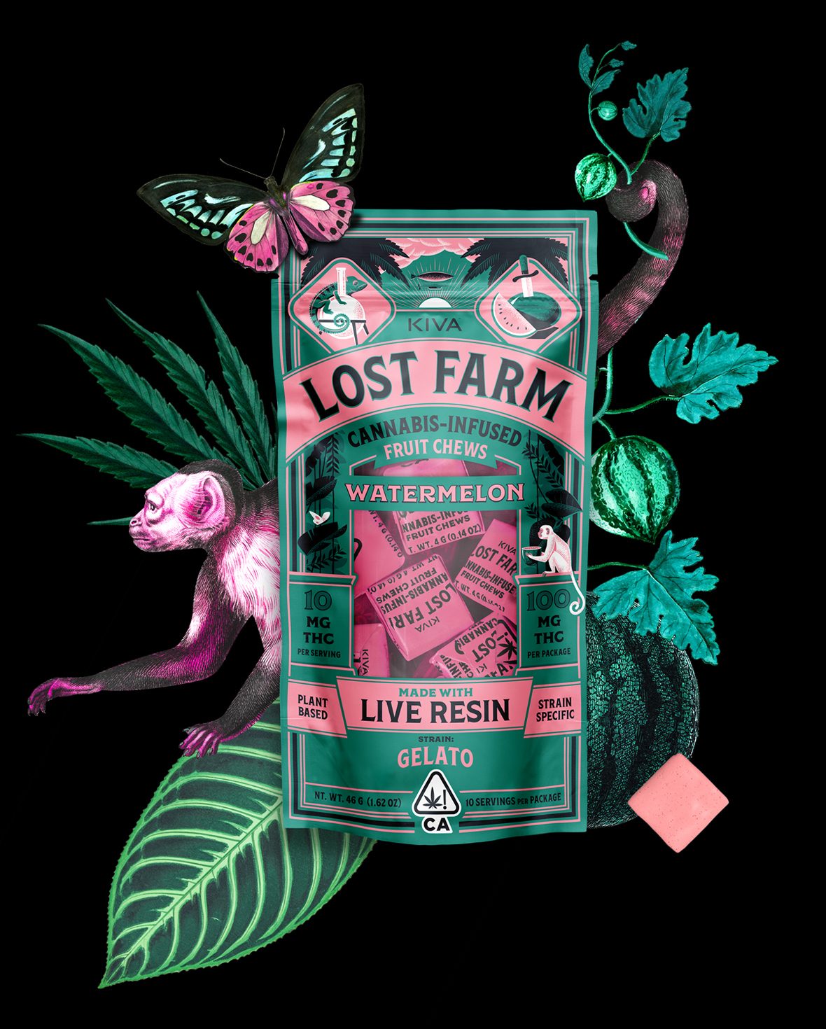 Photograph of product: Kiva Confections - Lost Farm Live Rosin Gummies - Watermelon - 200mg