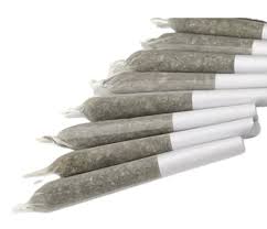Photograph of product: Knack | Poddy Mouth | Pre-Roll | 1G