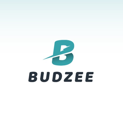 Photograph of product: Budzee | $10 Battery