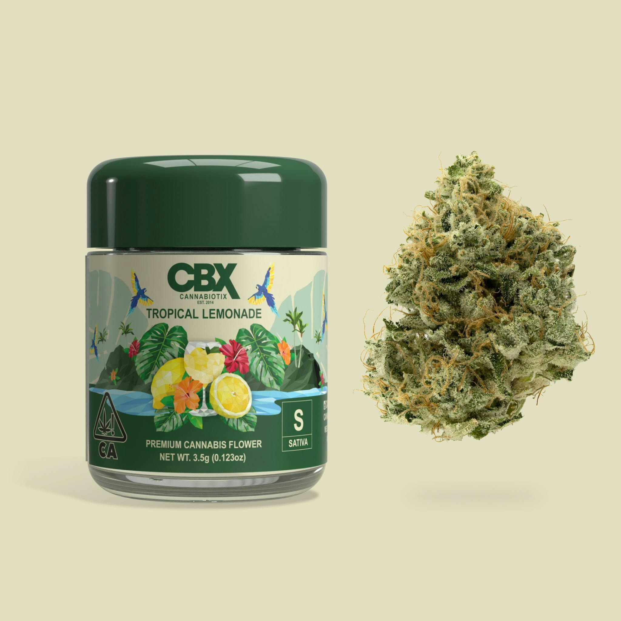 Photograph of product: CBX - FLOWER - - Oui'd - TROPICAL LEMONADE - 3.5g