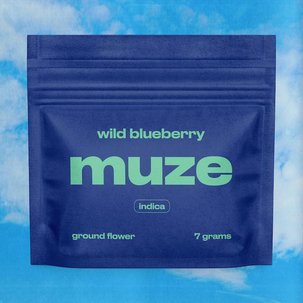 Photograph of product: Wild Blueberry | Preground | 7g