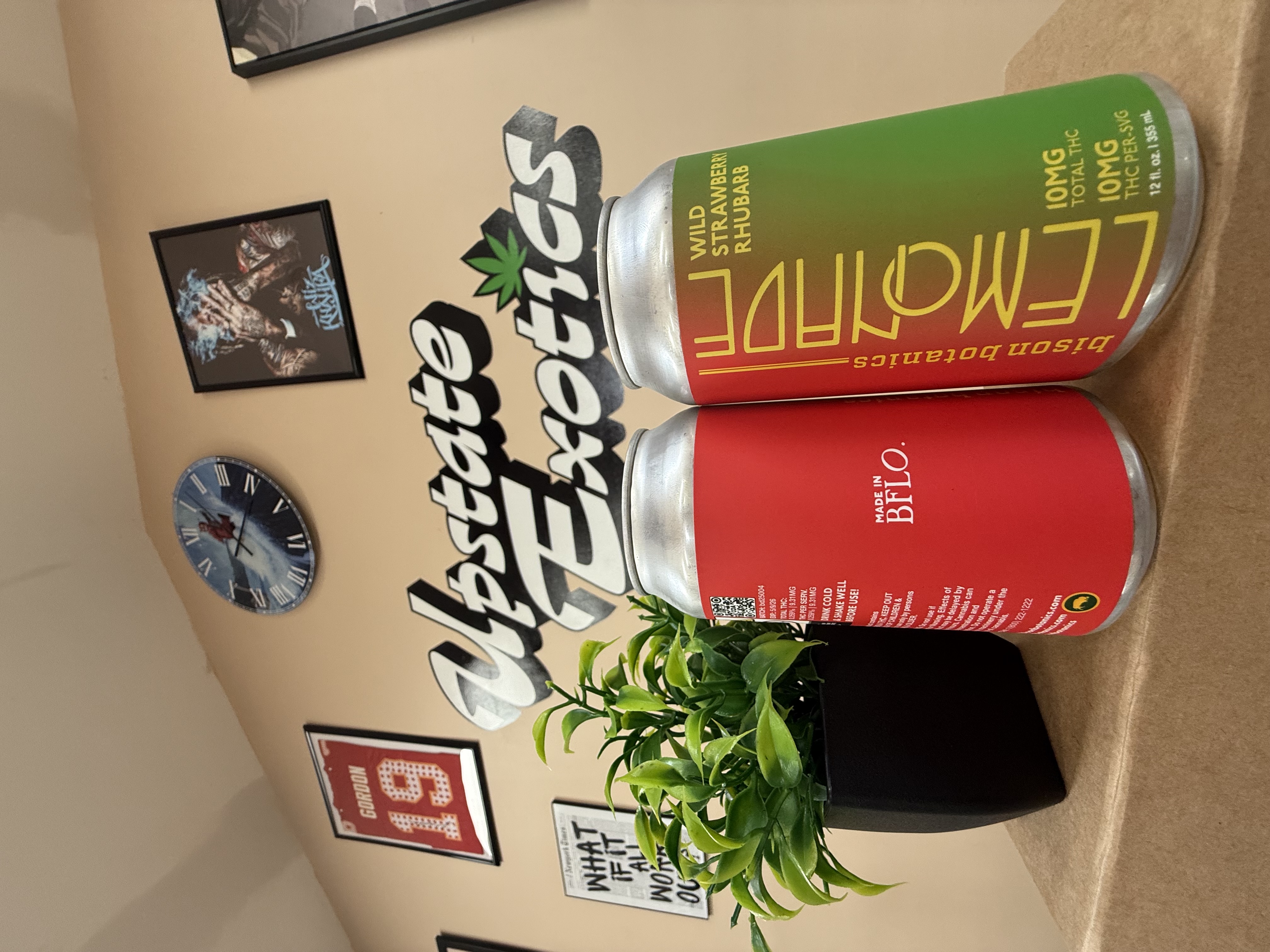Photograph of product: Wild Strawberry Rhubarb Lemonade - BISON- 10MG Beverage BISON