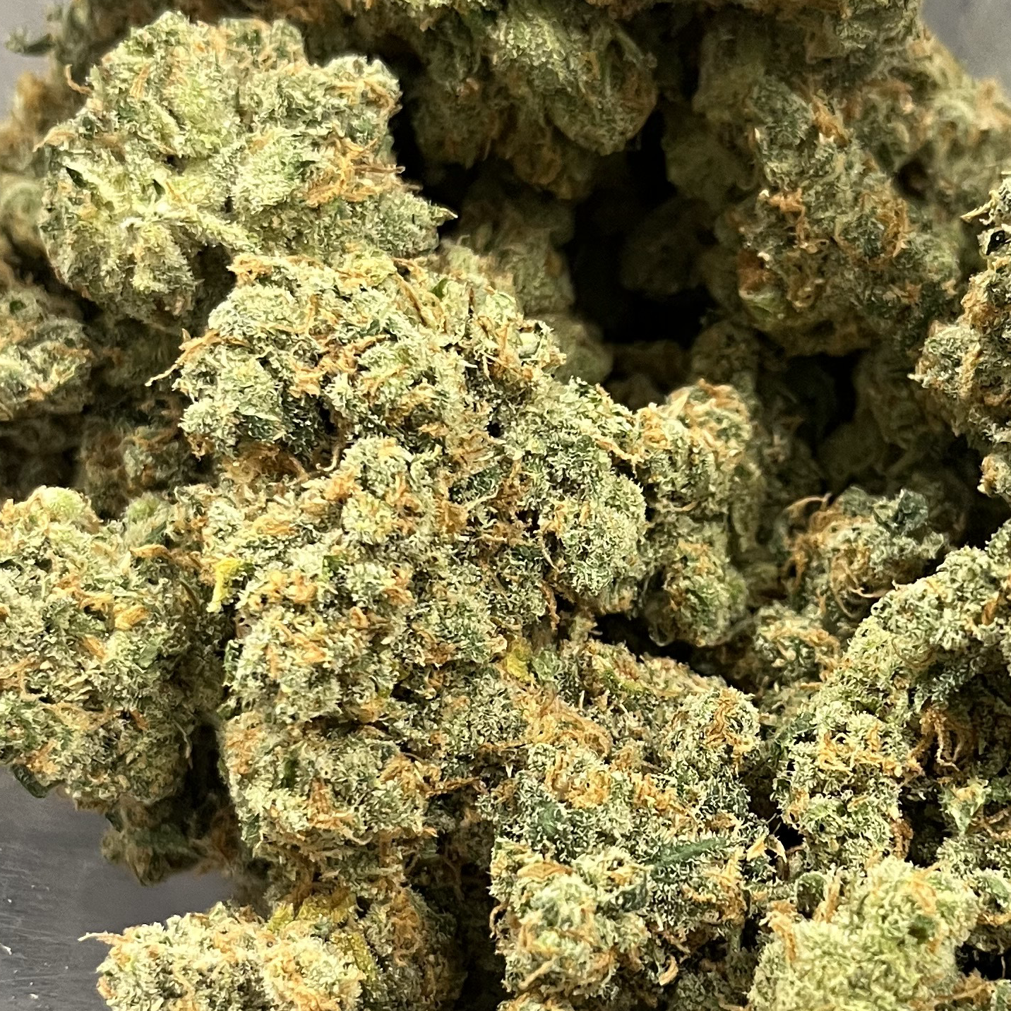 Photograph of product: Jack Herer Silver Lining (Noble Farms)