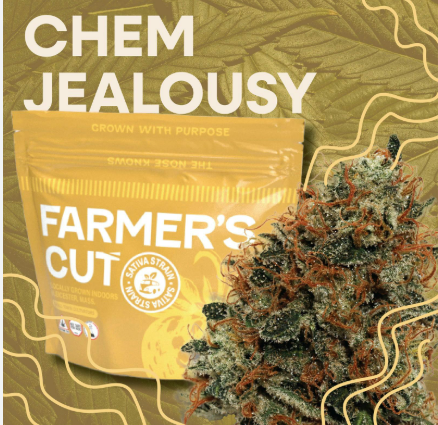 Photograph of product: Chem Jealousy | Flower | 3.5g