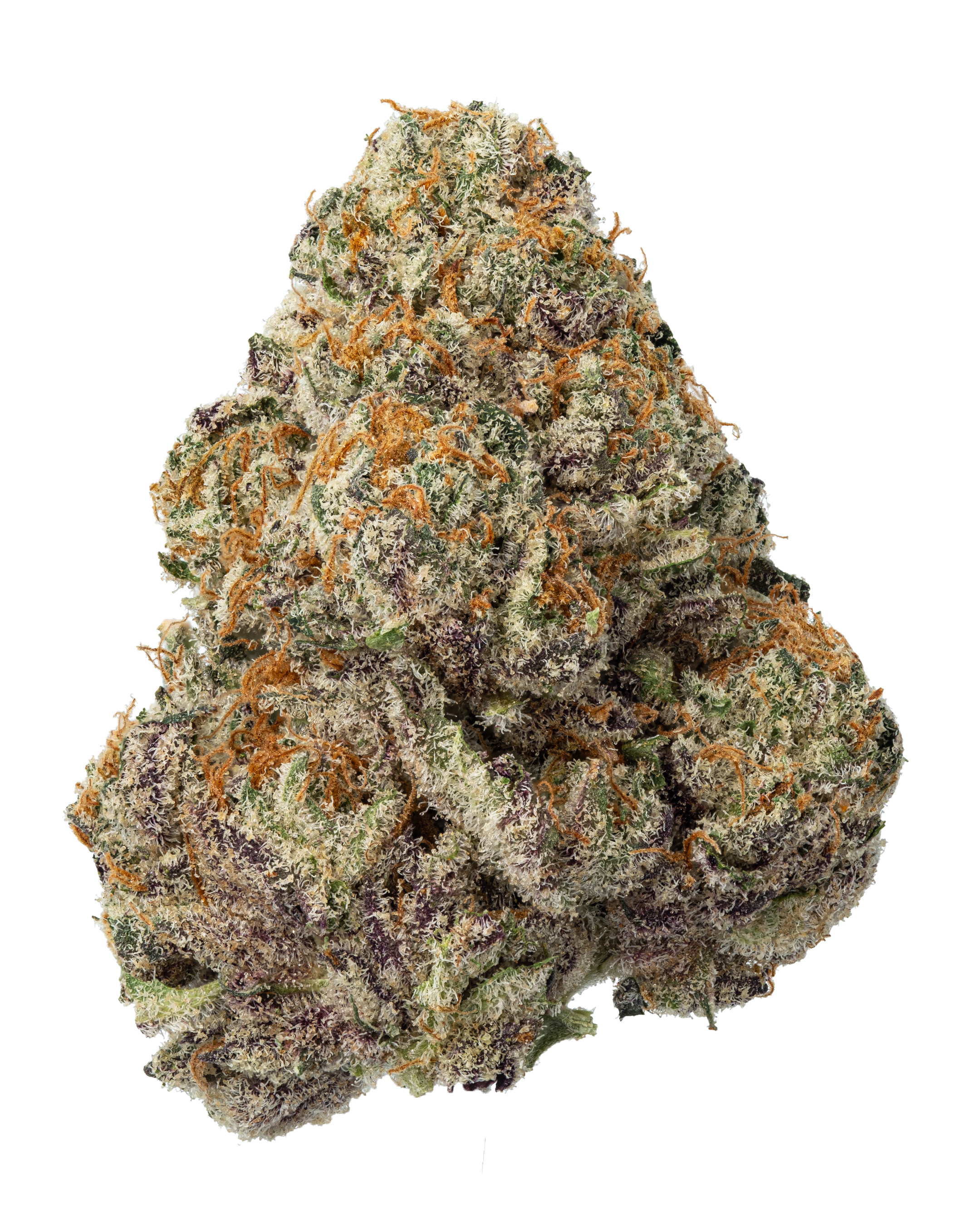 Photograph of product: Fresh | Sherbetty - 3.5g