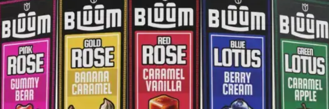 Photograph of product: Bluum Wild Flower | Pre-Rolled Cones | 2pc