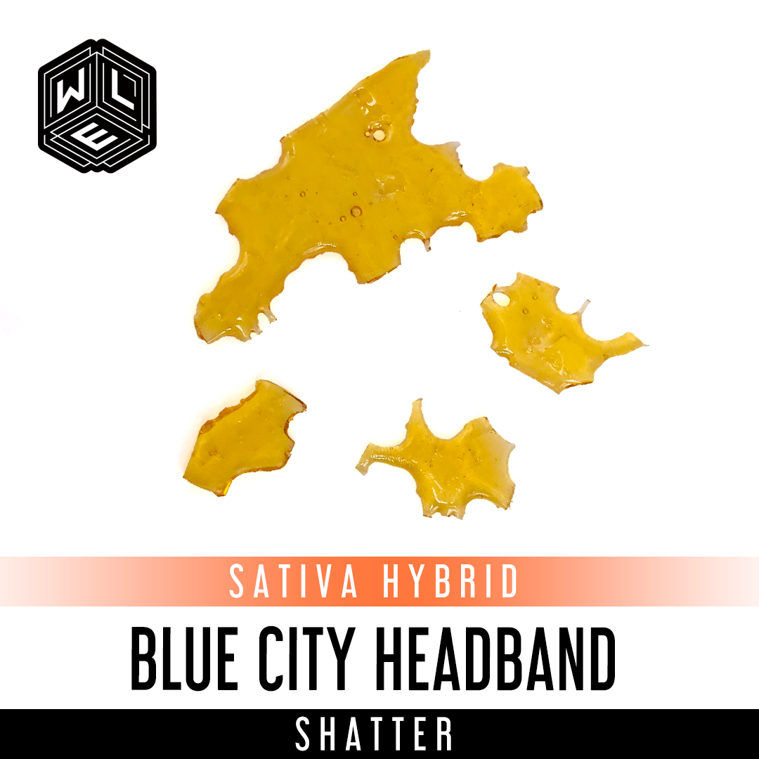 Photograph of product: Blue City Headband - Shatter