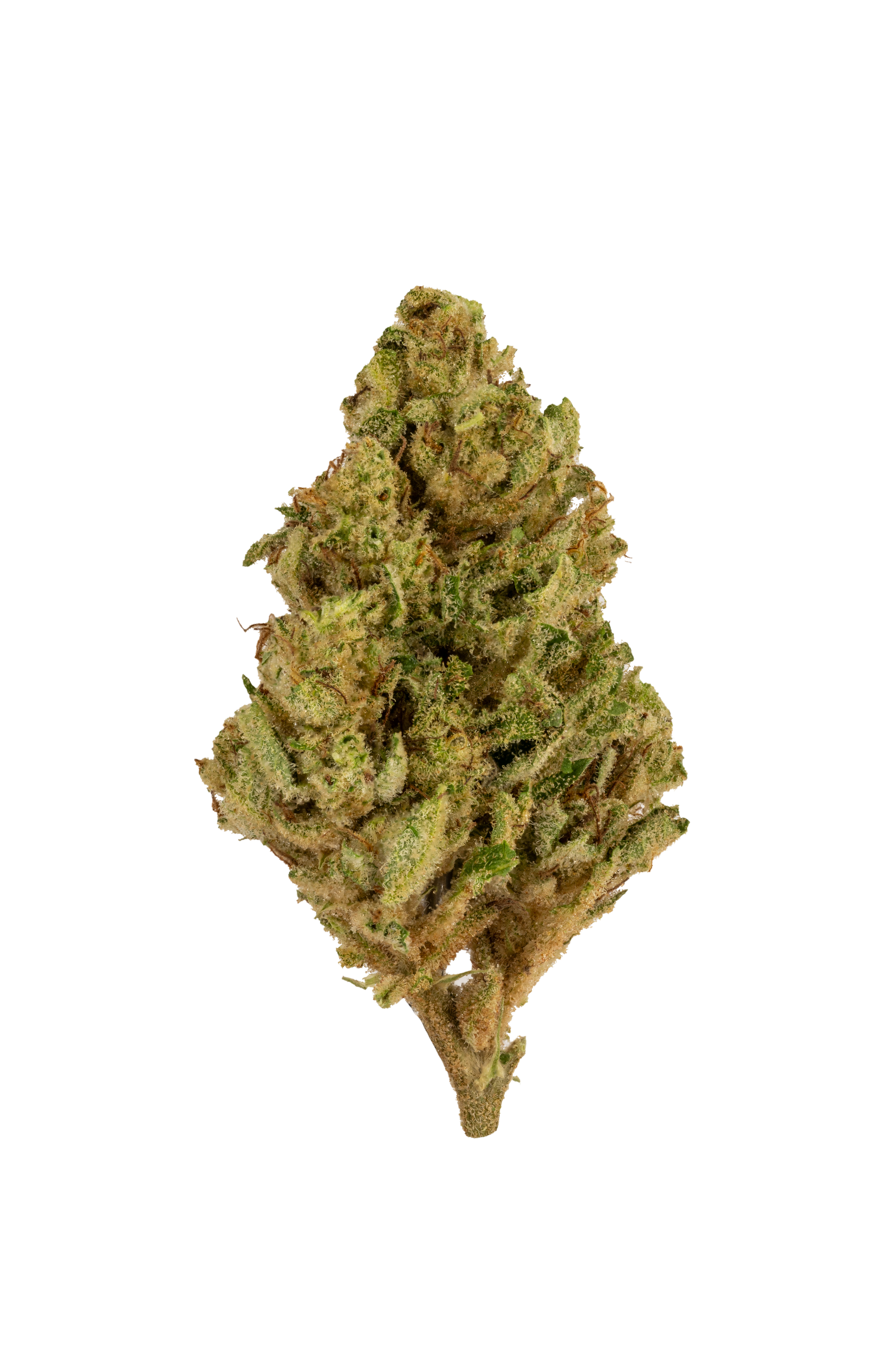 Photograph of product: Hurley | Flower | Jet Fuel Gelato - 3.5g