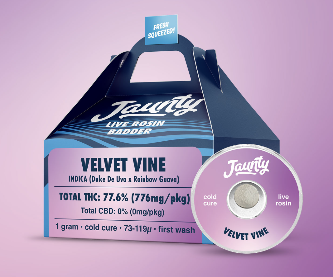 Photograph of product: Jaunty | Velvet Vine Cold Cure Live Rosin Badder