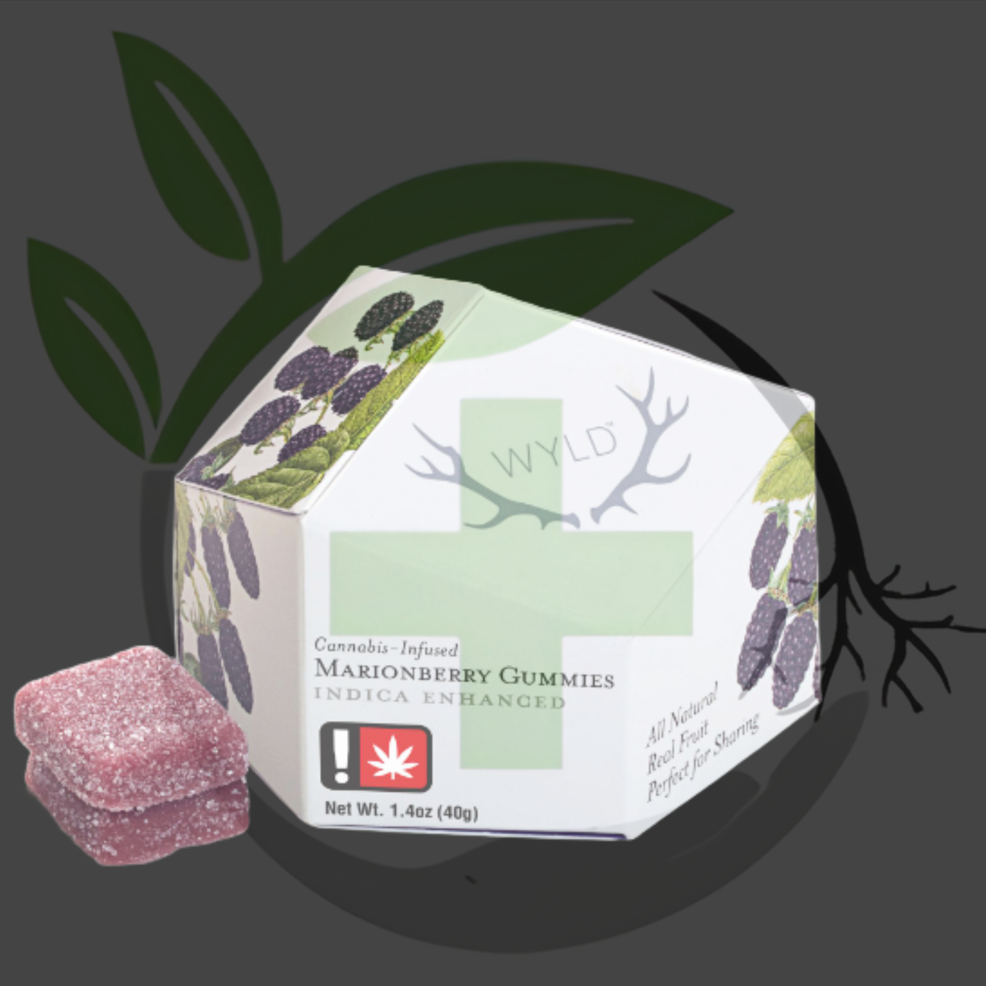 Photograph of product: Gummy - TF - WYLD - 100mg 10pc - Marionberry